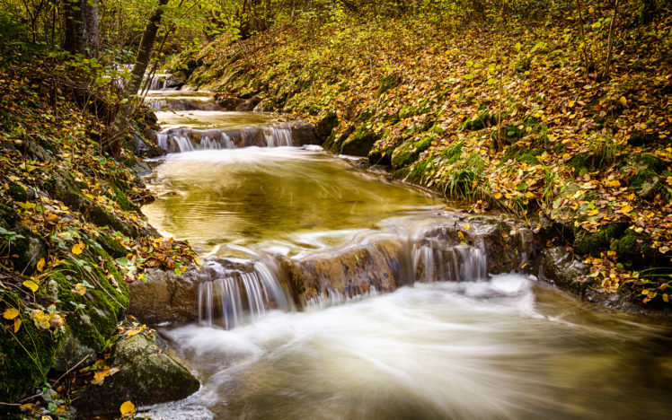 waterfall, Stream, Forest, Timelapse, Trees, River, Autumn HD Wallpaper Desktop Background