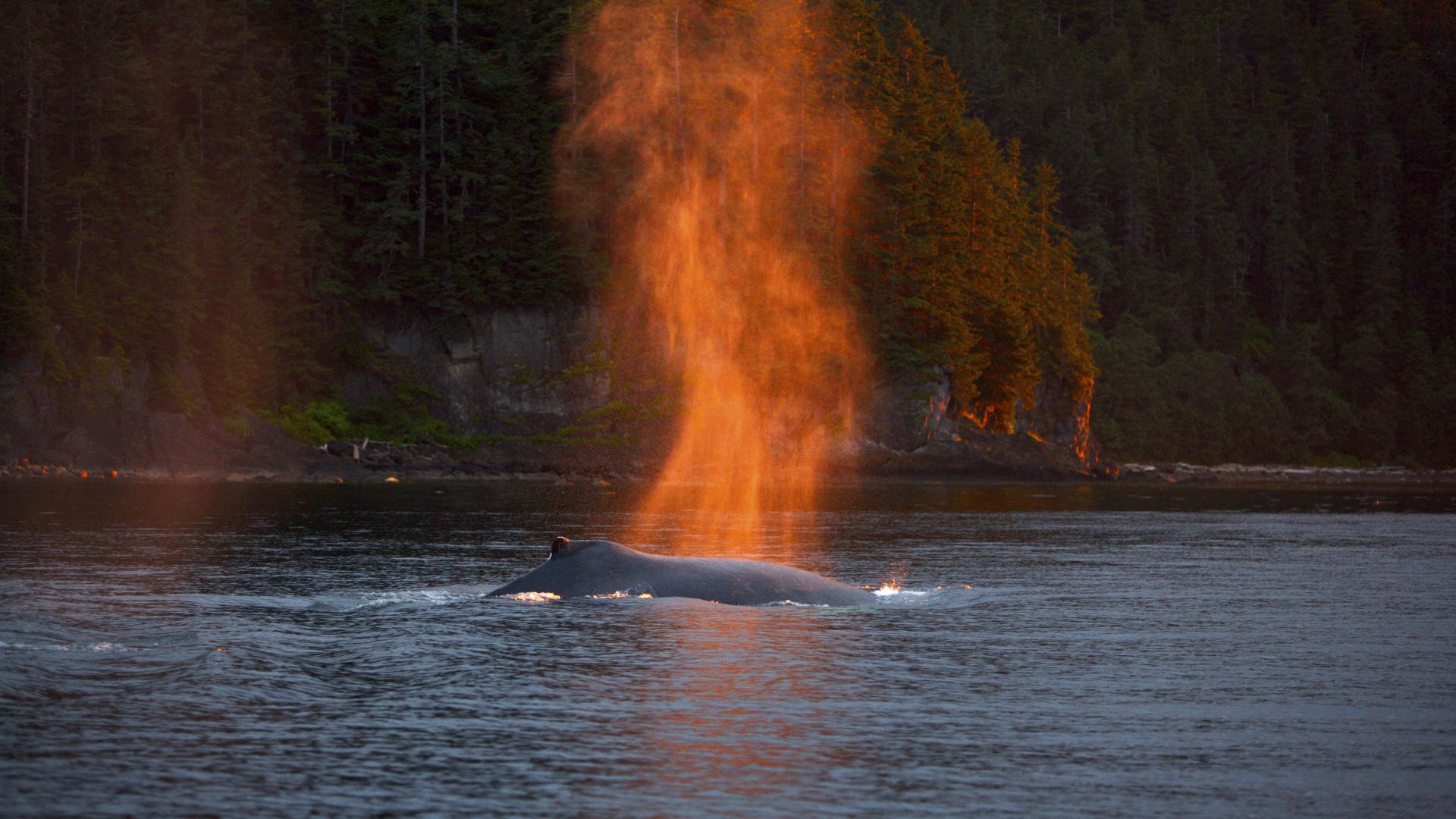 waterscape, Sea, Ocean, Water, Nature, Beautiful, Waterscapes, River, Lake Wallpaper