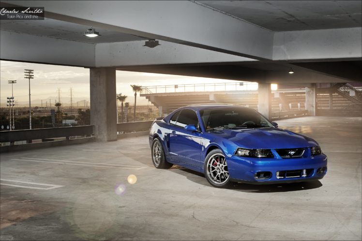 ford, Mustang, Mk4, Cobra, Stv, Cars, Pony, Usa HD Wallpaper Desktop Background