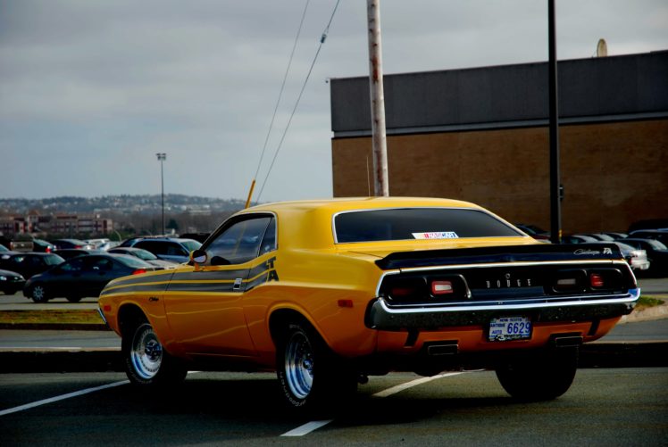 1973, Challenger, Classic, Dodge, Muscle, Cars HD Wallpaper Desktop Background