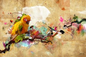 bird, Abstract, Paint