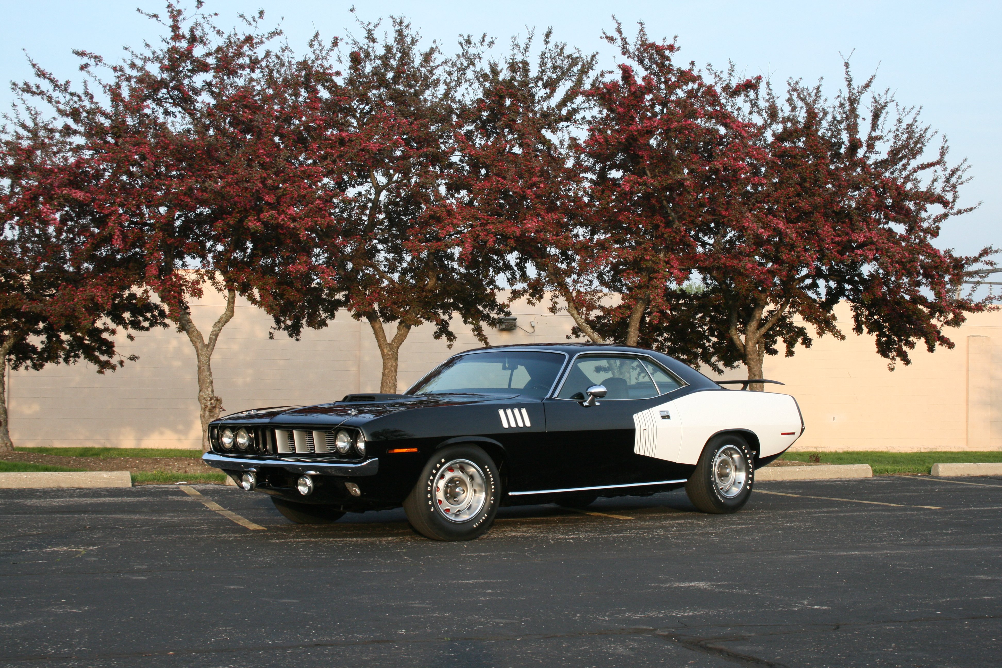 1971, Classic, Cuda, Hemi, Muscle, Plymouth, Usa, Cars Wallpaper