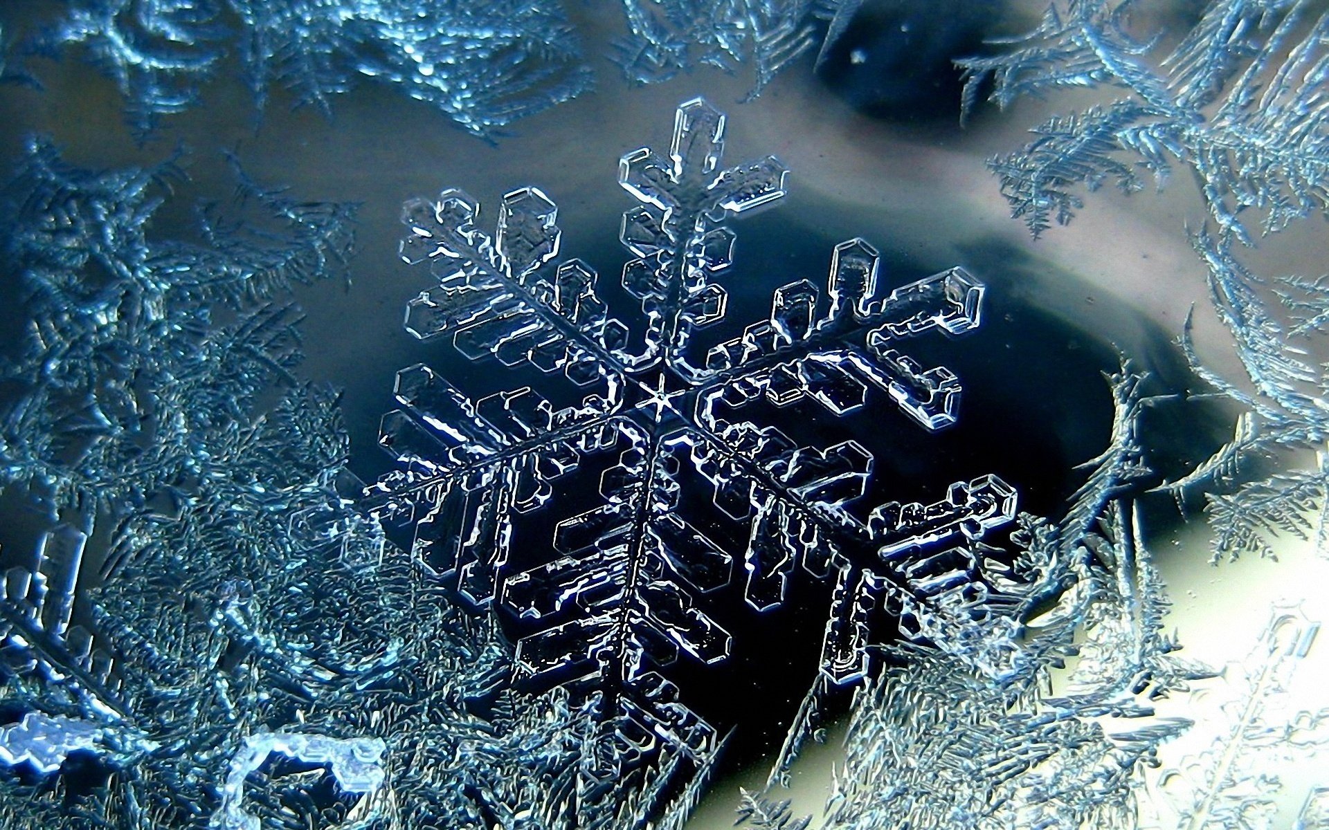 cold, Winter, Frost, Snowflake, Snow Wallpaper