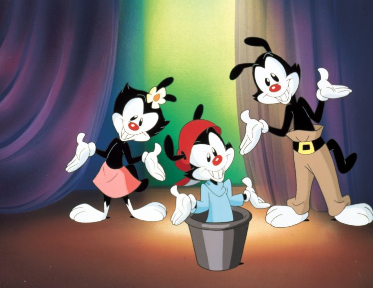 ANIMANIACS OF WALLPAPER ON WINDOWS 11 by EVELYNPLUSYT on DeviantArt