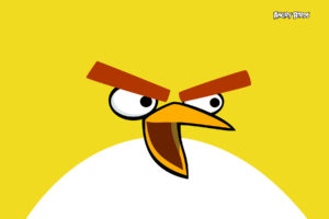 angry, Birds, Yellow