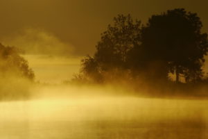 lake, Fog, Sunset, Landscape, Trees, Sunrise, Mist