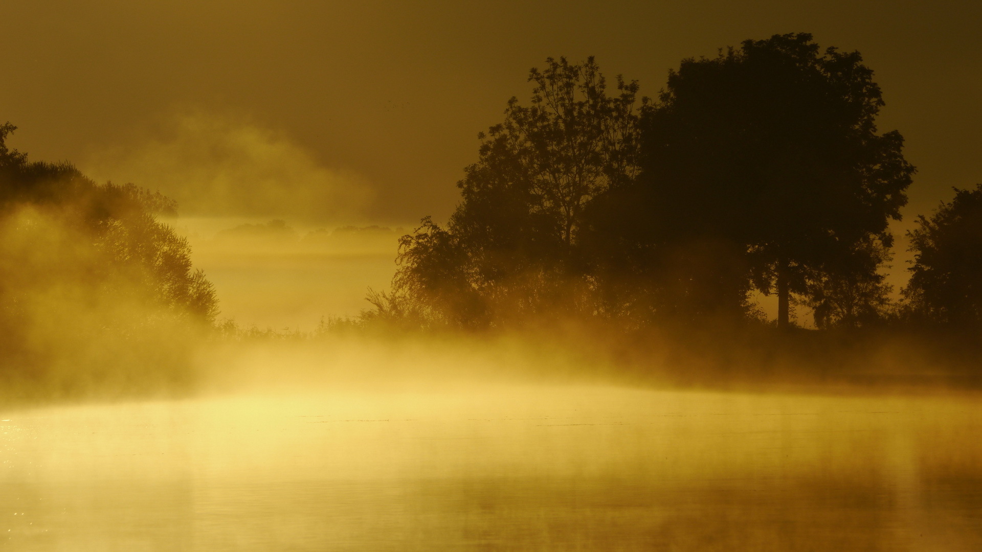 lake, Fog, Sunset, Landscape, Trees, Sunrise, Mist Wallpaper
