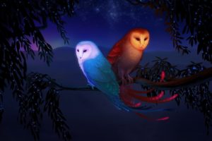 water, Elements, Tree, Branch, Mountains, Fire, Birds, Fantasy, Stars, Owls