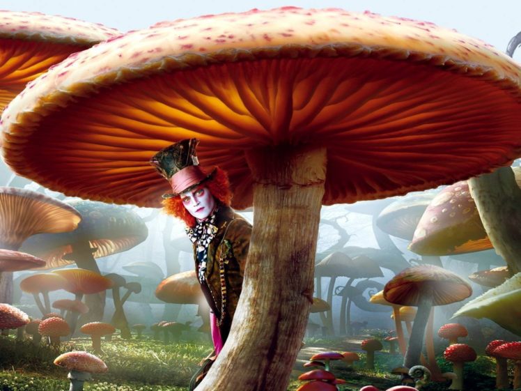 mushrooms, Alice, In, Wonderland, The, Hatter HD Wallpaper Desktop Background