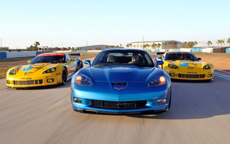 2010, Corvette, Racing, Sebring, Cars 1920×1200 HD Wallpaper Desktop Background