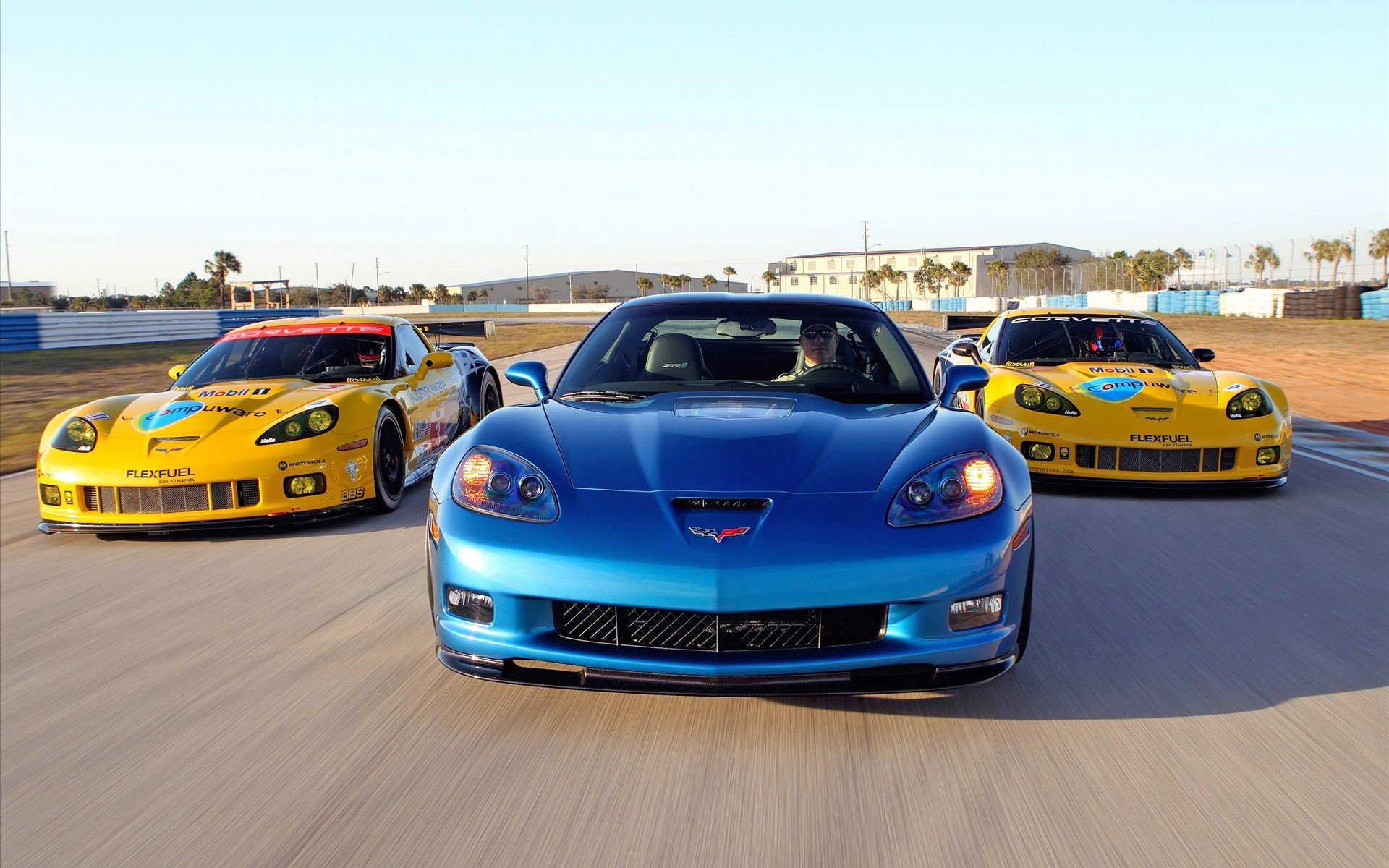 2010, Corvette, Racing, Sebring, Cars 1920x1200 Wallpaper