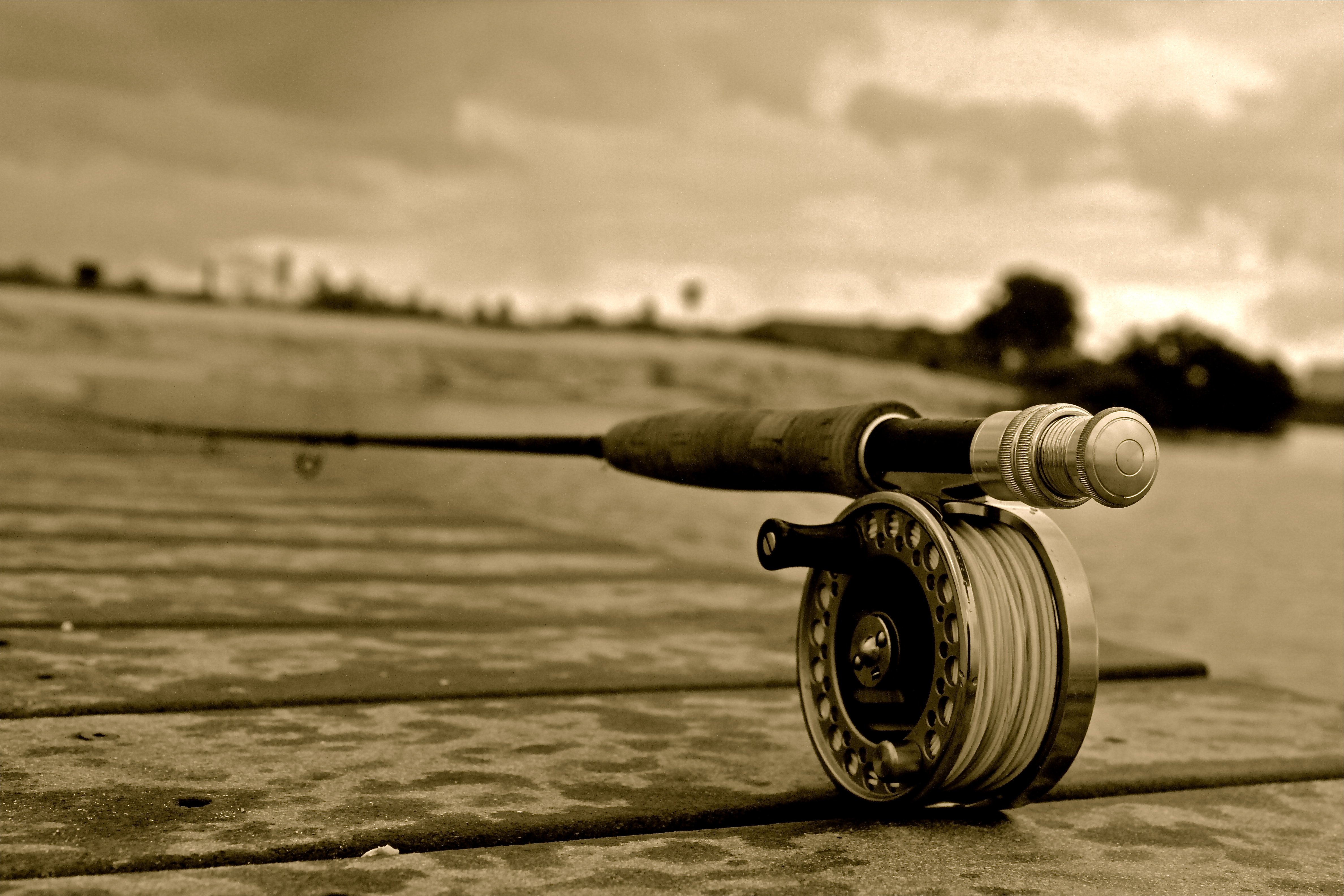 fly, Fishing, Sport Wallpaper