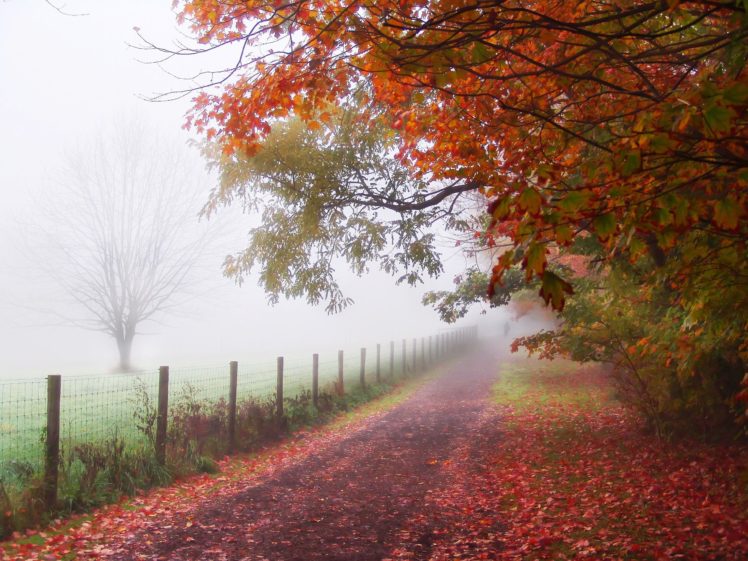 autumn, People, Park, Fence, Track, Fog, Path HD Wallpaper Desktop Background