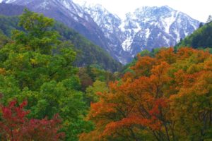mountains, Japan, Forest, Nature, Autumn