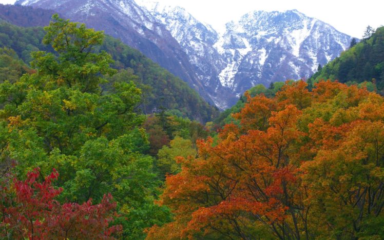 mountains, Japan, Forest, Nature, Autumn HD Wallpaper Desktop Background