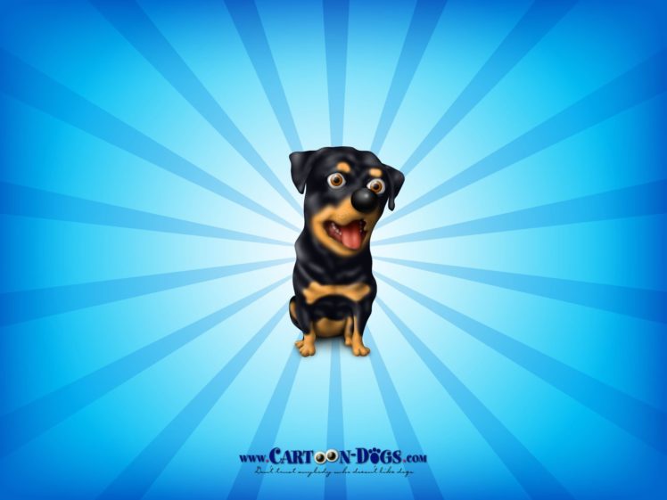 rottweiler, Dog, Dogs HD Wallpaper Desktop Background
