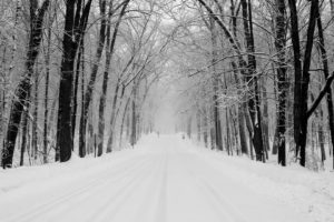 snow, Winter, Road, Forest, Wayfarer, Umbrella, Indices