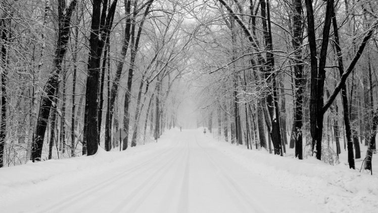 snow, Winter, Road, Forest, Wayfarer, Umbrella, Indices HD Wallpaper Desktop Background