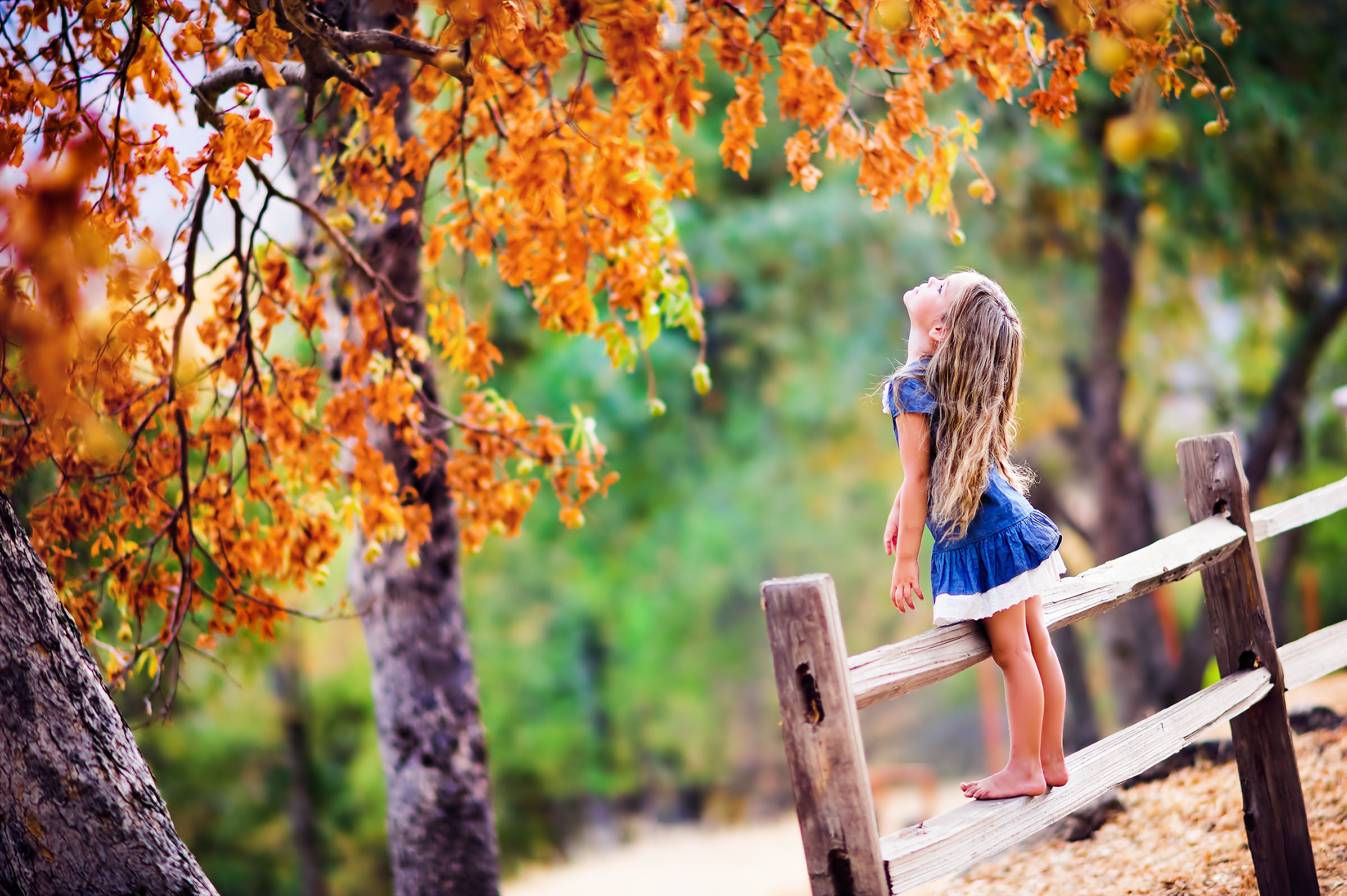 trees, Girl, Fence, Foliage, Baby Wallpaper
