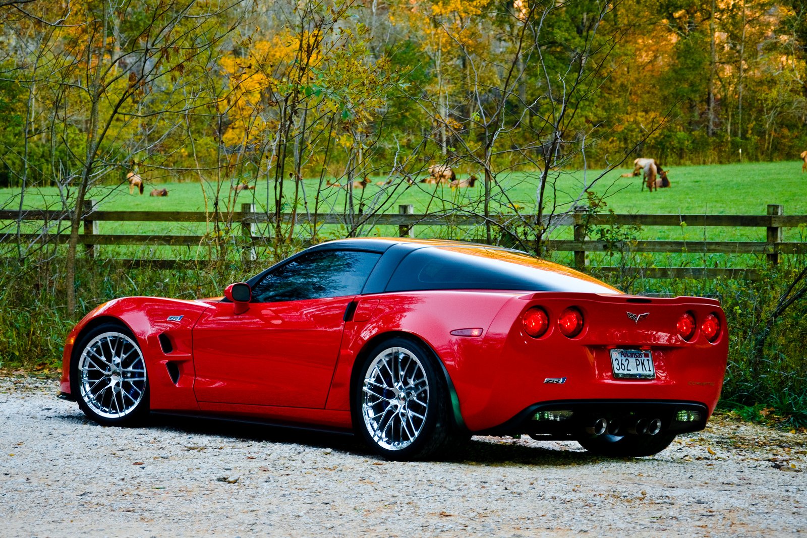 chevy, Chevrolet, Corvette, C6, Coupe, Cars, Convertible, Z06, Zr1, Usa, C6 Wallpaper