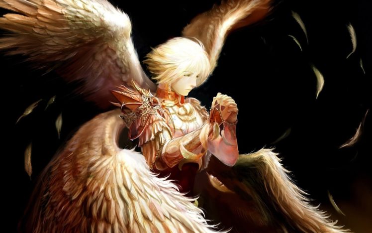 angel, Wings, Feathers, Warrior, Male HD Wallpaper Desktop Background