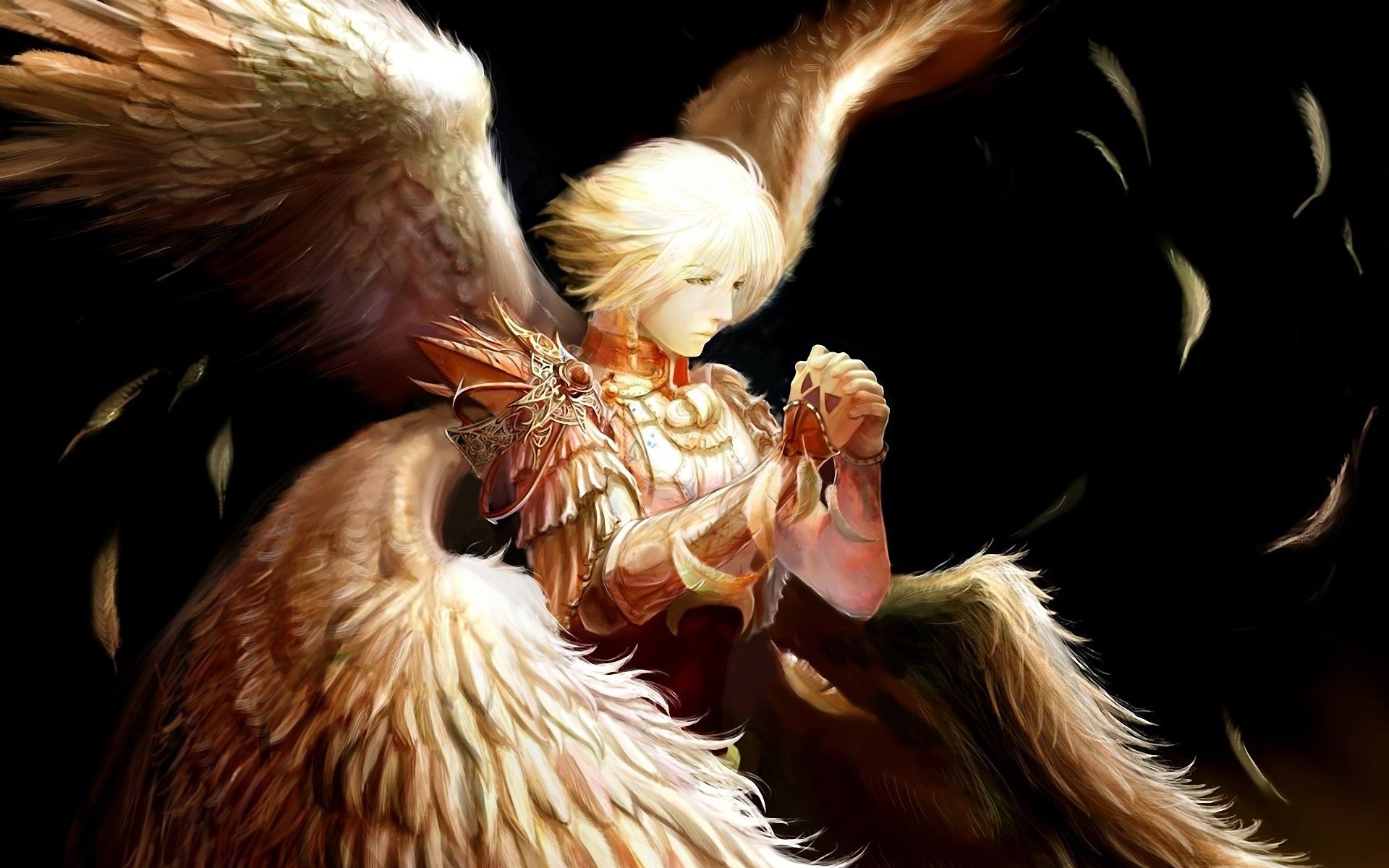 angel, Wings, Feathers, Warrior, Male Wallpaper