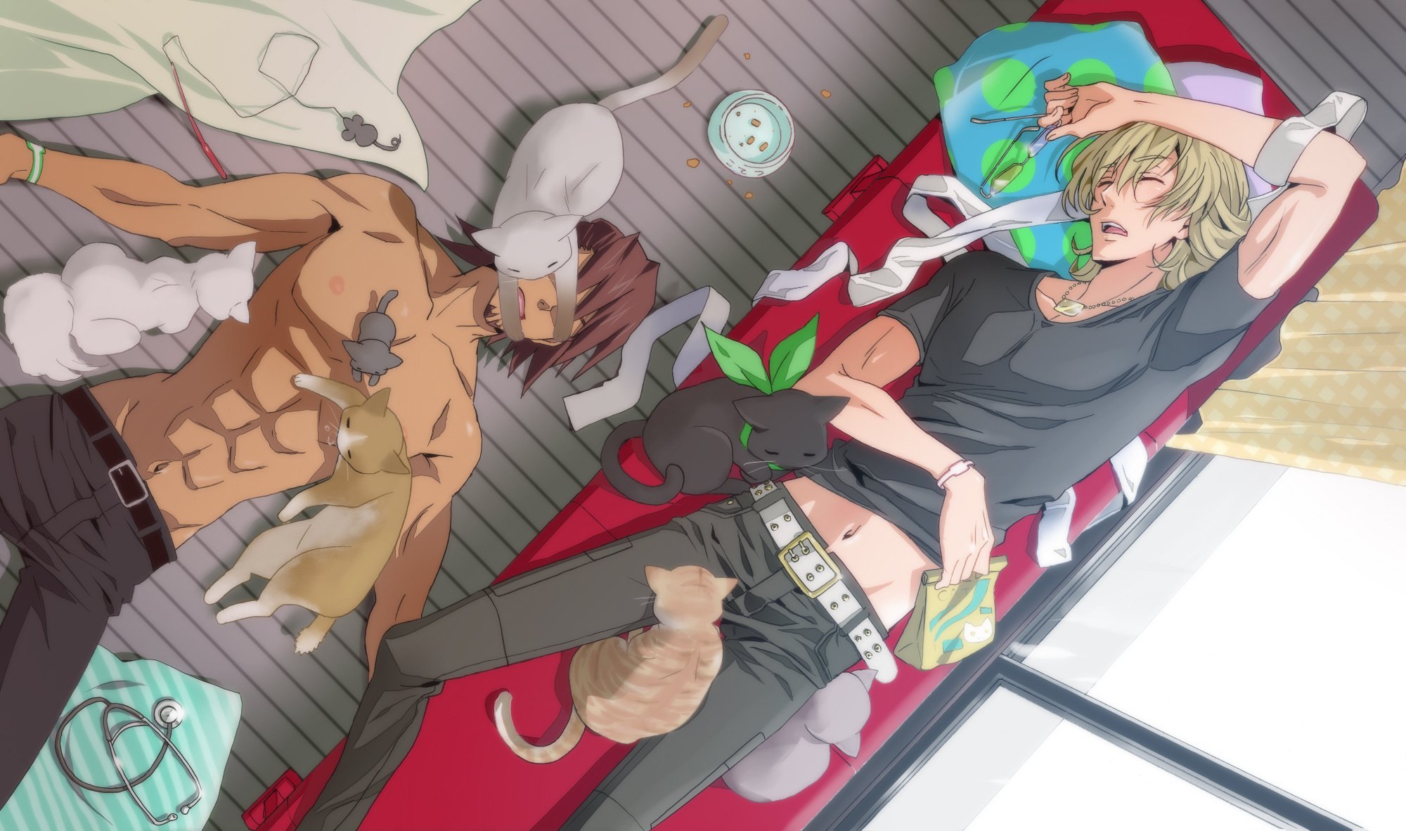 tiger, Bunny, Cute, Sleep, Cats, Anime, Series Wallpaper