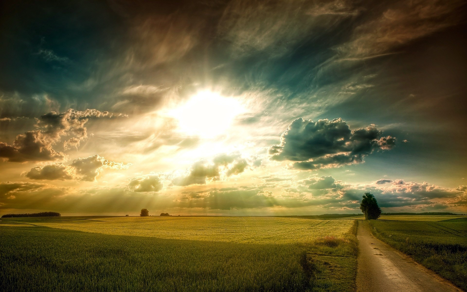 plains, Fields, Grass, Road, Tree, Sky, Clouds, Sun, Rays, Light, Dawn, Sunset, Landscapes, Sunlight, Fields Wallpaper