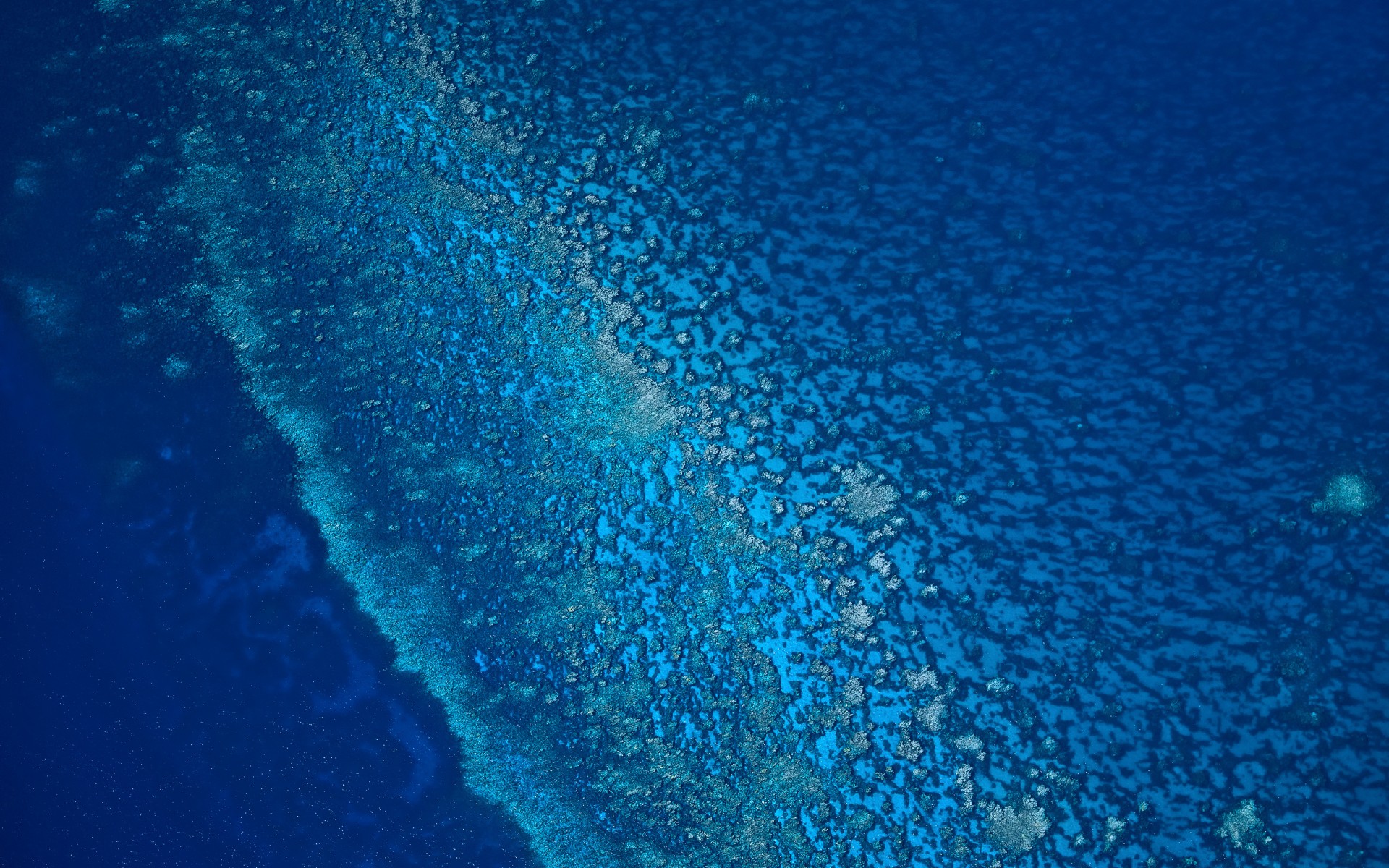 sea, Aeyaey, Blue, Fine, Coral, Ocean Wallpaper