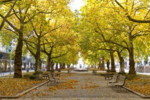 sidewalk, Park, Statue, Sidewalk, Bench, Trees, Leaves, Autumn, Fall, Cities, People