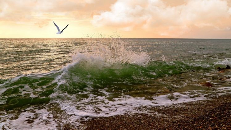 waterscape, Water, Nature, Beautiful HD Wallpaper Desktop Background
