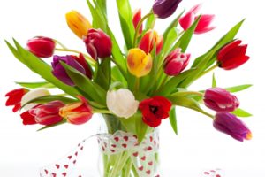 bouquet, Tulips, Vase, Ribbon, Colors, Still, Life