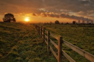 corral, Fence, Fencing, Cows, Grass, Trees, Sun, Evening, Sunset, Sky, Clouds, Nuclear, Radiation, Landscapes