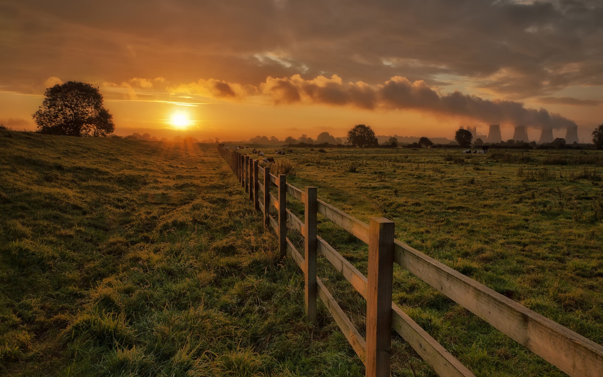 corral, Fence, Fencing, Cows, Grass, Trees, Sun, Evening, Sunset, Sky, Clouds, Nuclear, Radiation, Landscapes Wallpaper