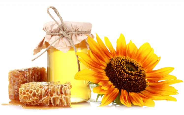 honey, Honeycomb, Bank, Sunflower, White, Still, Life, Color, Sweets HD Wallpaper Desktop Background