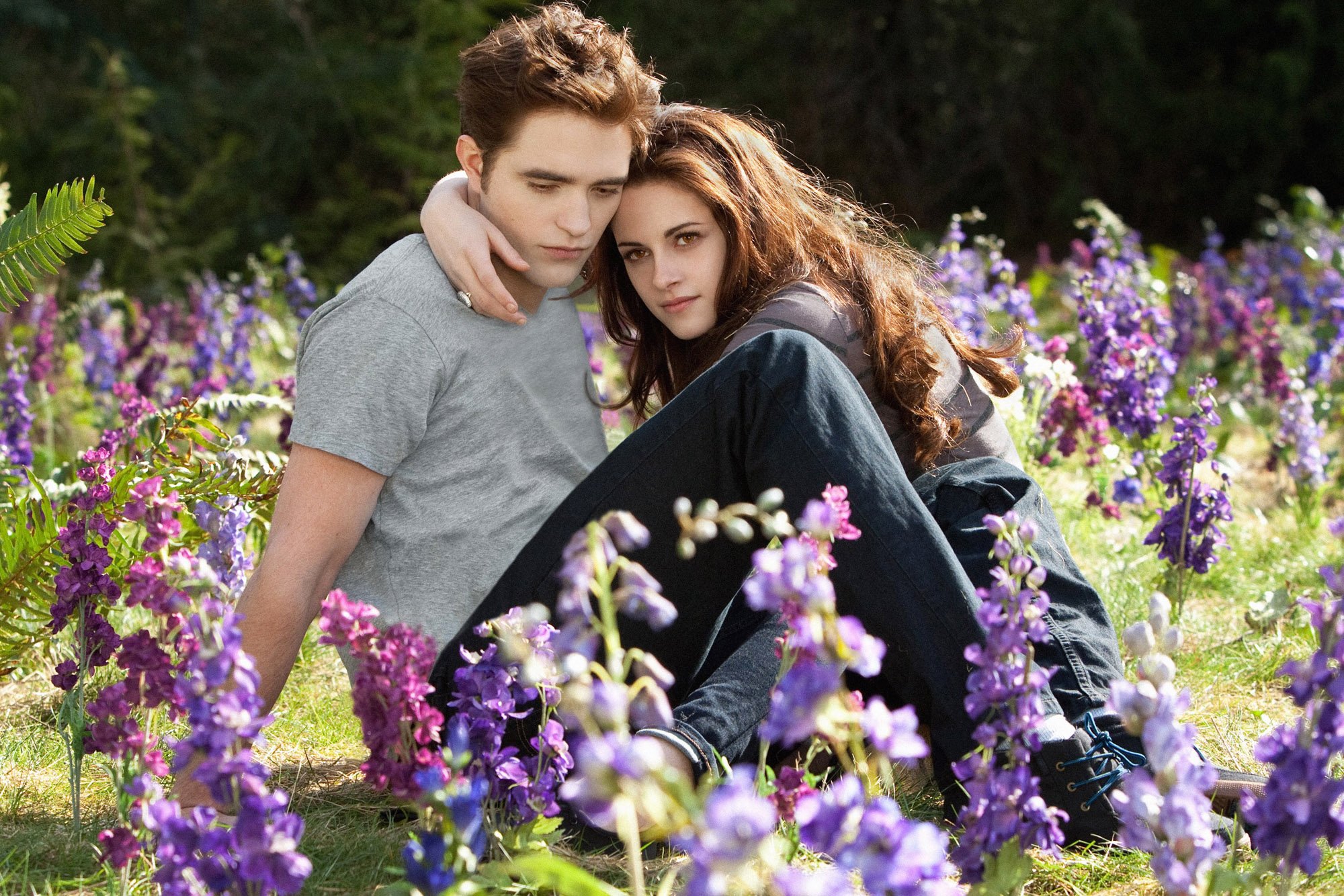 twilight, Breaking, Dawn, Adventure, Drama, Romance, Vampire, Werewolf Wallpaper