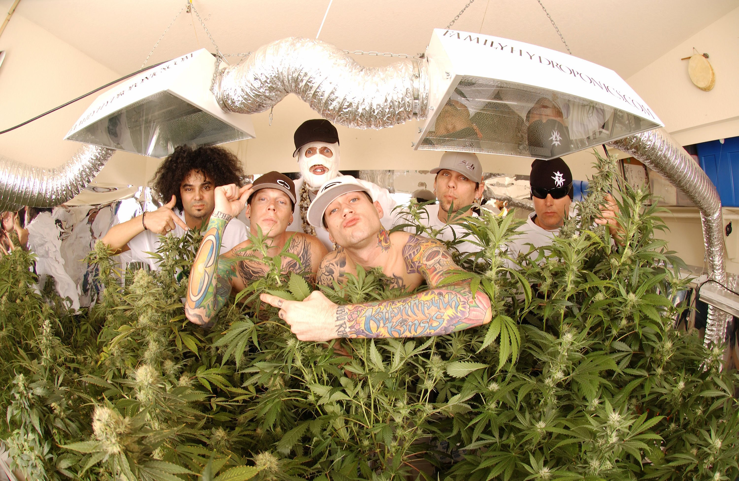 kottonmouth, Kings, Rap, Rapper, Hip, Hop, Marijuana, Drugs, 420 Wallpaper