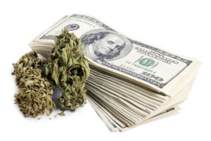 marijuana, 420, Weed, Mary, Jane, Drugs, Money
