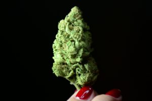 marijuana, 420, Weed, Mary, Jane, Drugs