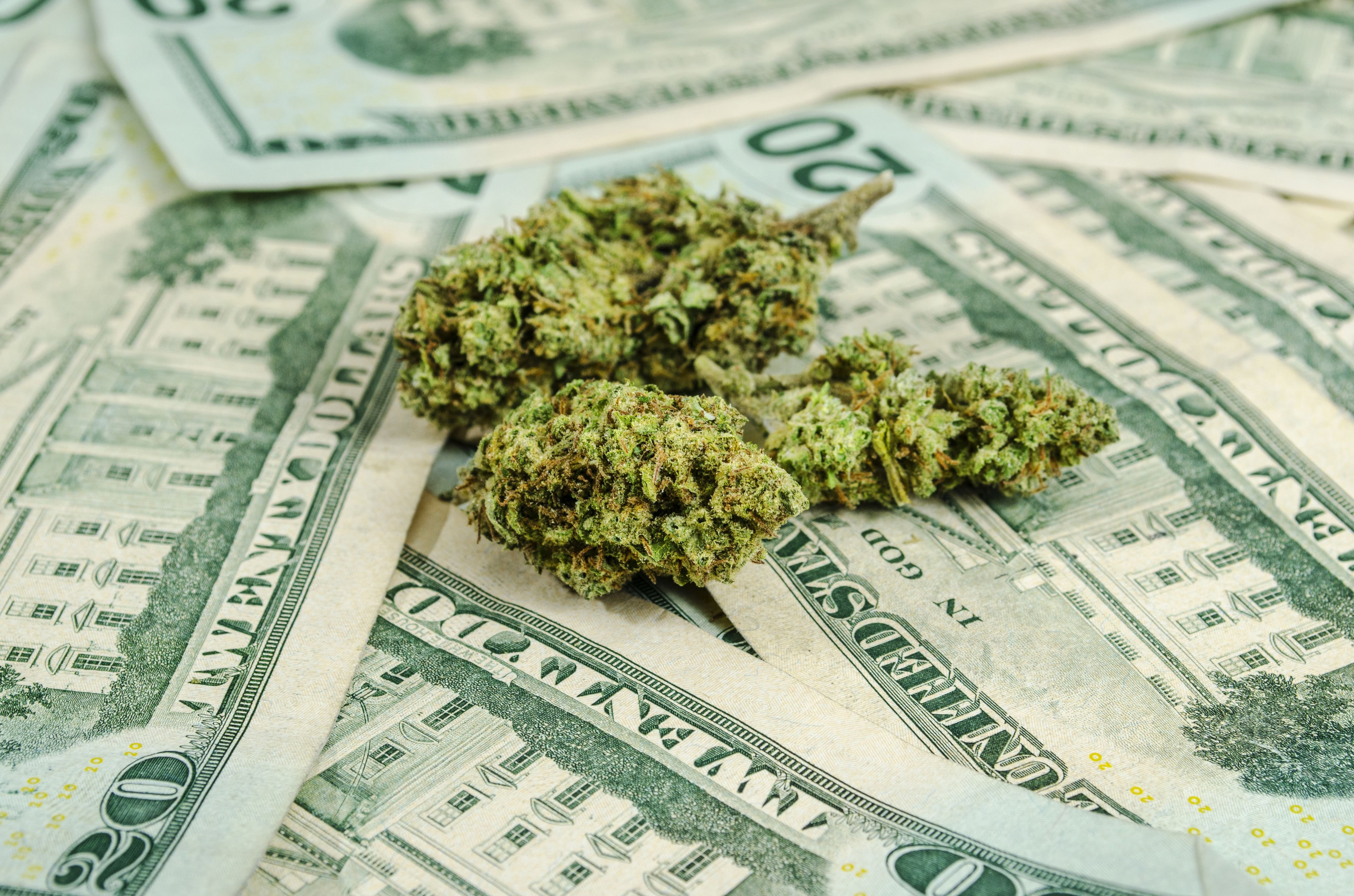 marijuana, 420, Weed, Mary, Jane, Drugs, Money Wallpaper