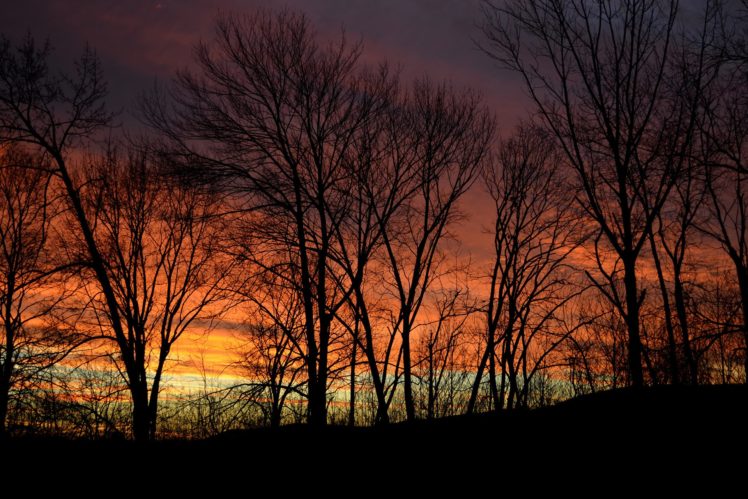 nature, Sunset, Sky, Trees, Shadows, Twilight, Evening HD Wallpaper Desktop Background