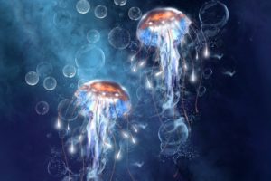 bubbles, Jellyfish, Under, Water, Art, Bubbles, Sea