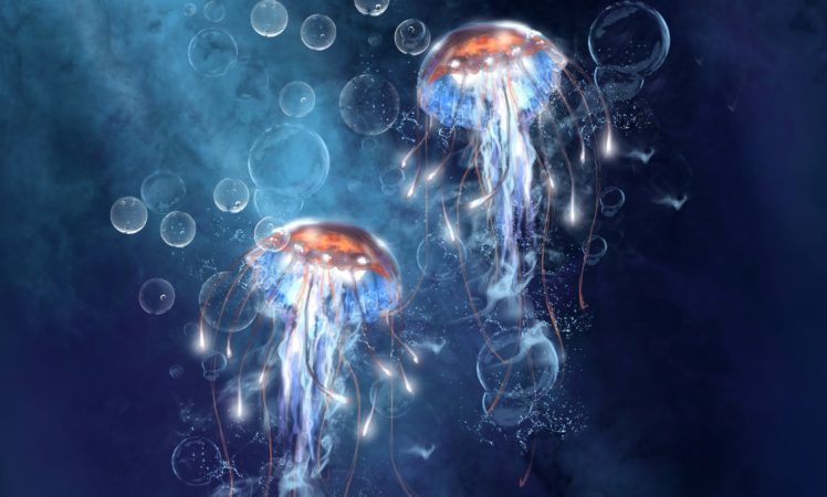 bubbles, Jellyfish, Under, Water, Art, Bubbles, Sea HD Wallpaper Desktop Background