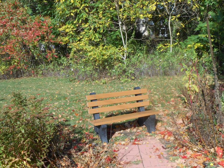 autumn, Fall, Leaves, Bench, Trees, Plants HD Wallpaper Desktop Background