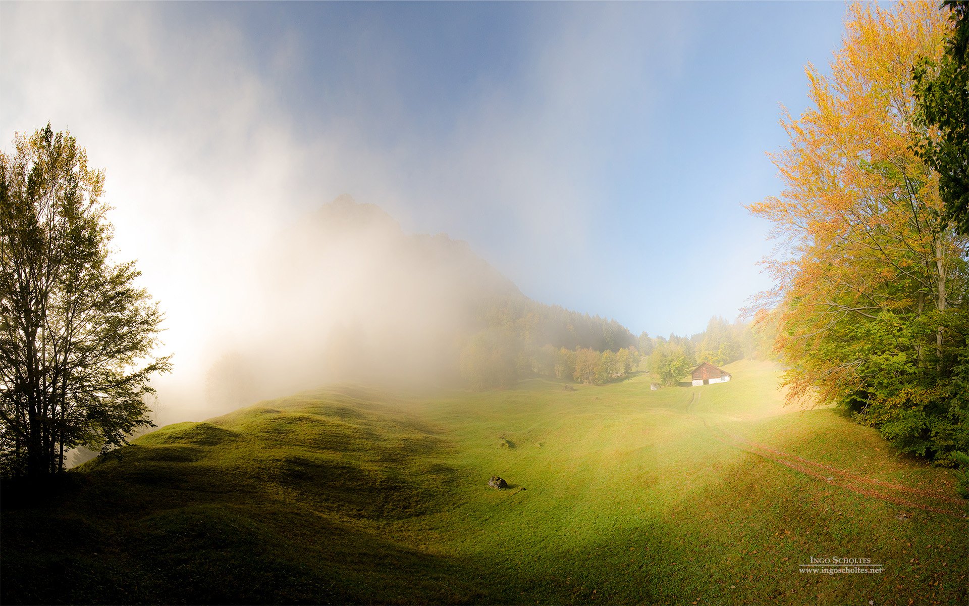 fog, Trees, Grass, Switerland Wallpaper