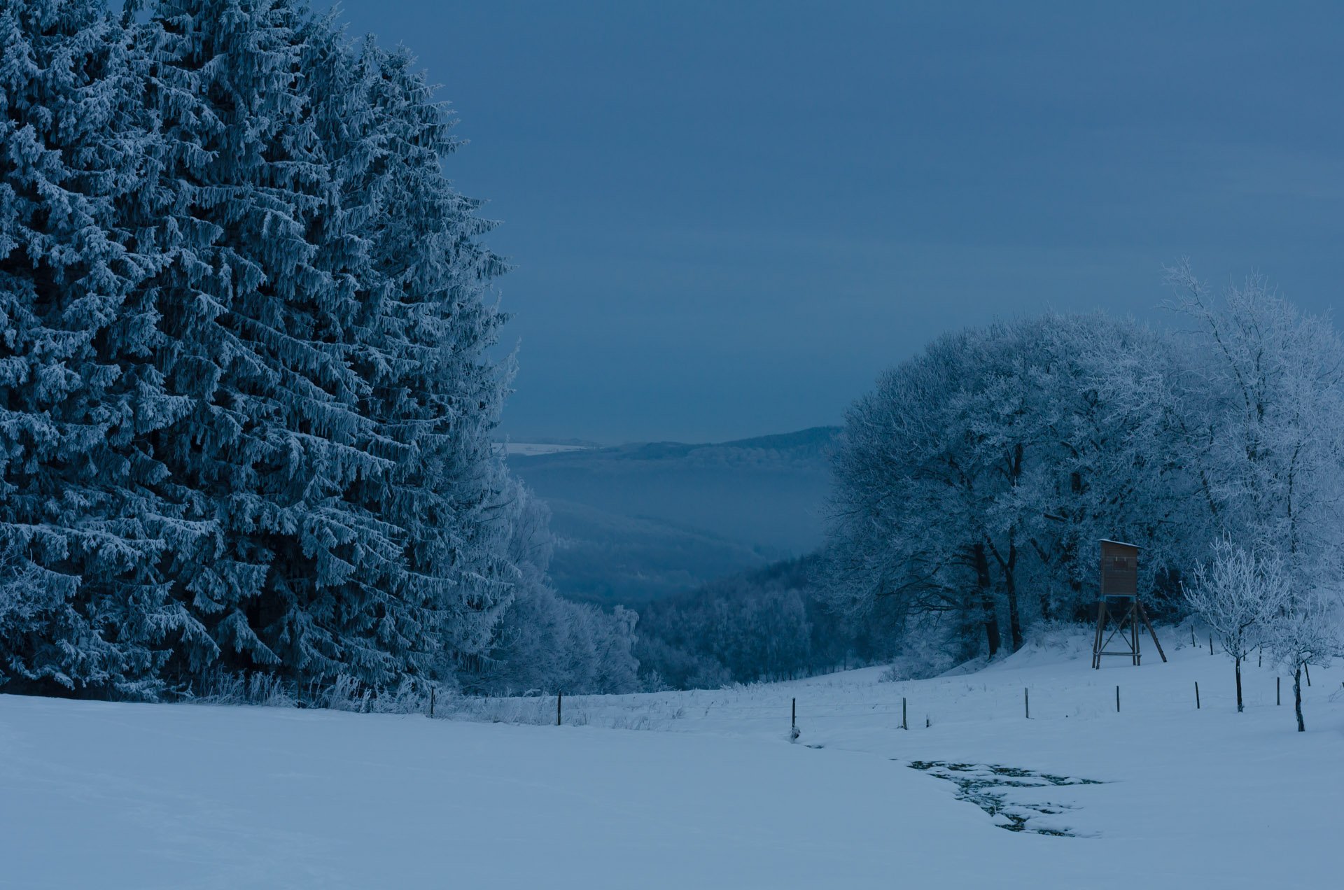 snow, Winter, Mountains, Trees Wallpaper