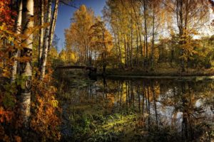 river, Trees, Fall, Autumn, Foliage, Leaves