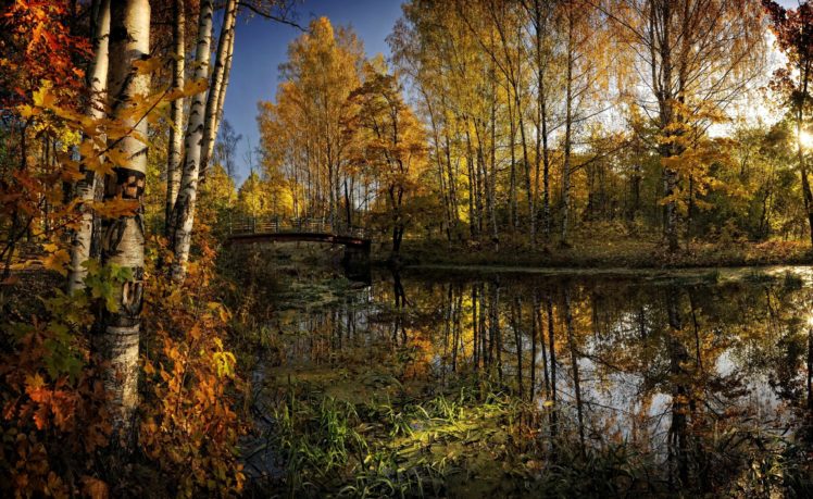 river, Trees, Fall, Autumn, Foliage, Leaves HD Wallpaper Desktop Background