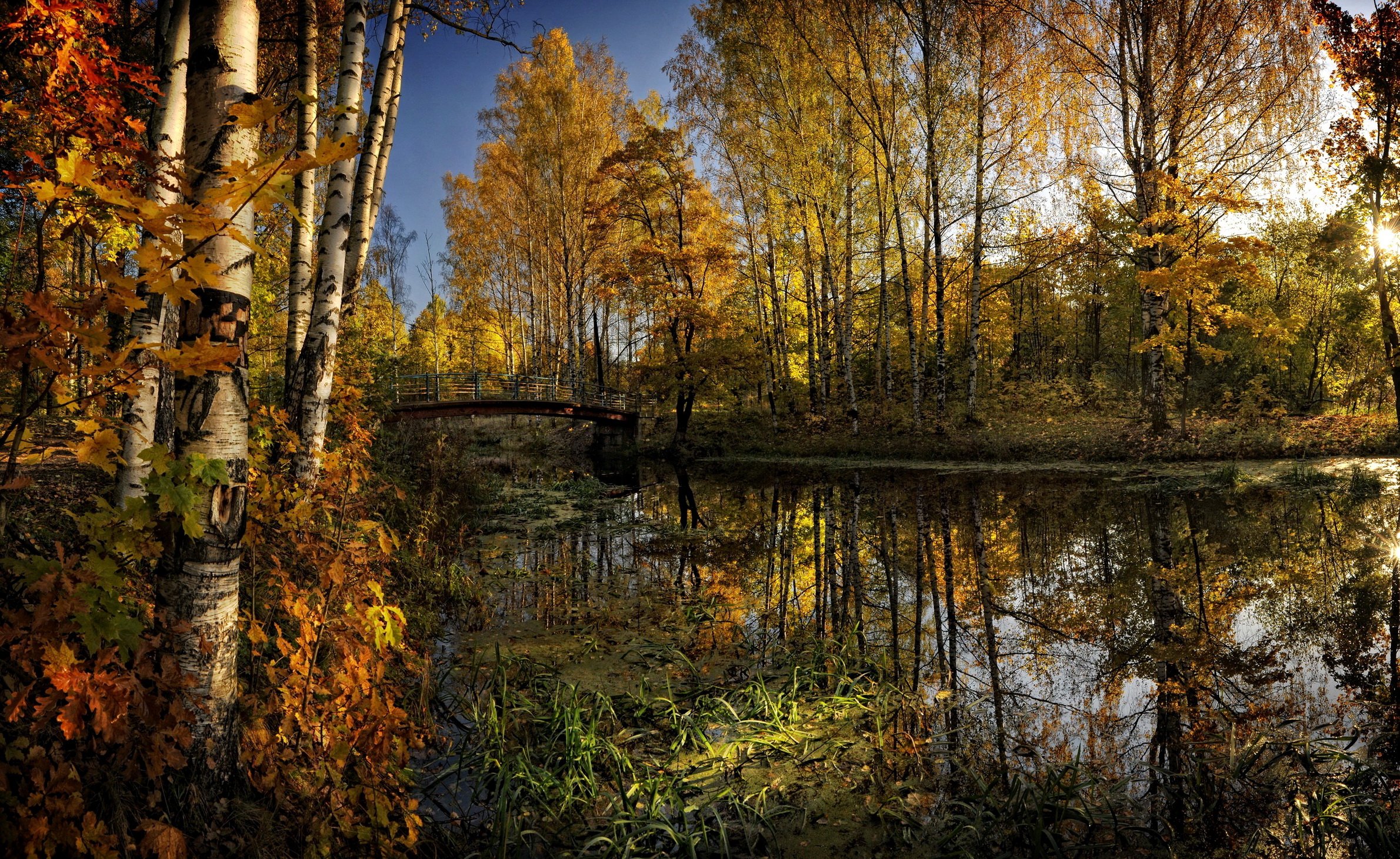 river, Trees, Fall, Autumn, Foliage, Leaves Wallpaper