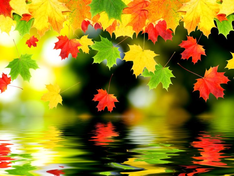 fall, Autumn, Reflection, Pond, Foliage, Colorful HD Wallpaper Desktop Background